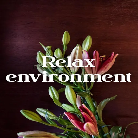 Bio Boutique Xu' - Gruppo Ambienthotels Hotel Rimini