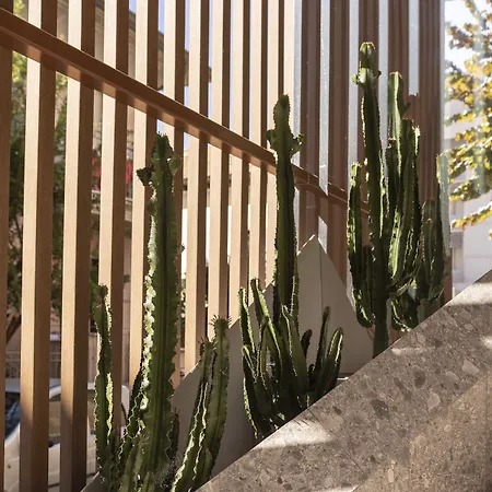 Bio Boutique Xu' - Gruppo Ambienthotels Ρίμινι