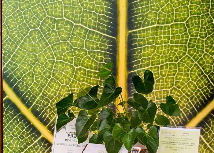 Hotel Bio Boutique Xu' - Gruppo Ambienthotels Rimini