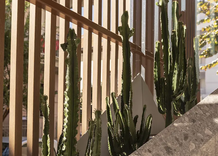 Bio Boutique Xu' - Gruppo Ambienthotels Rimini