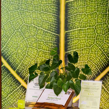 Hotel Bio Boutique Xu' - Gruppo Ambienthotels Rimini